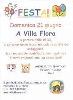 FESTA IN GATTILE