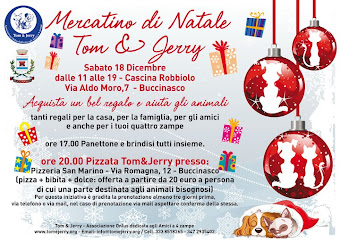 MERCATINO DI NATALE, SABATO 18 DICEMBRE - BUCCINASCO (MI)