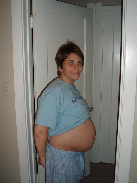 27 1/2 weeks