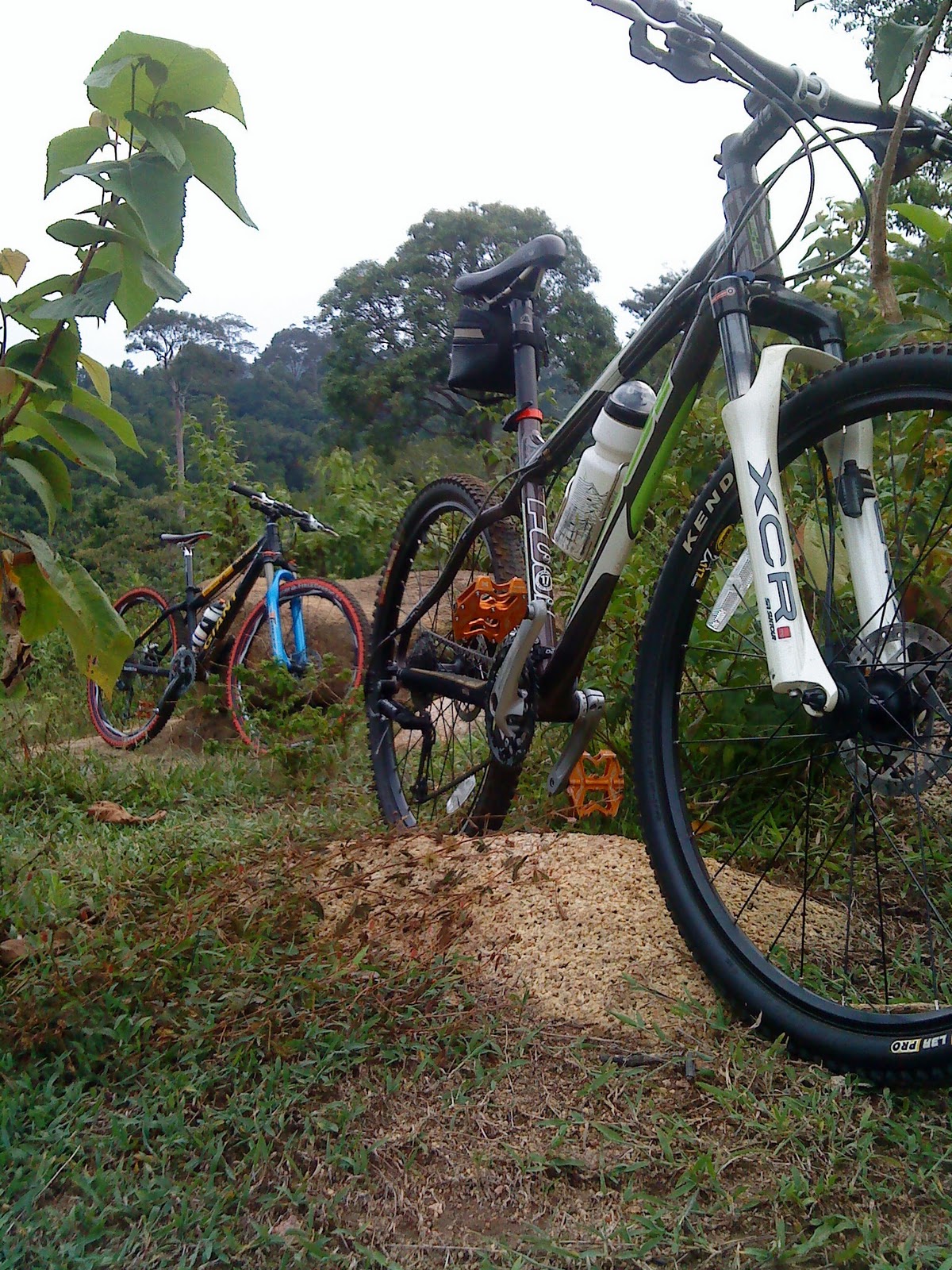 PIMCO: Kayuhan panjat Bukit Paling Tinggi dlm kebun