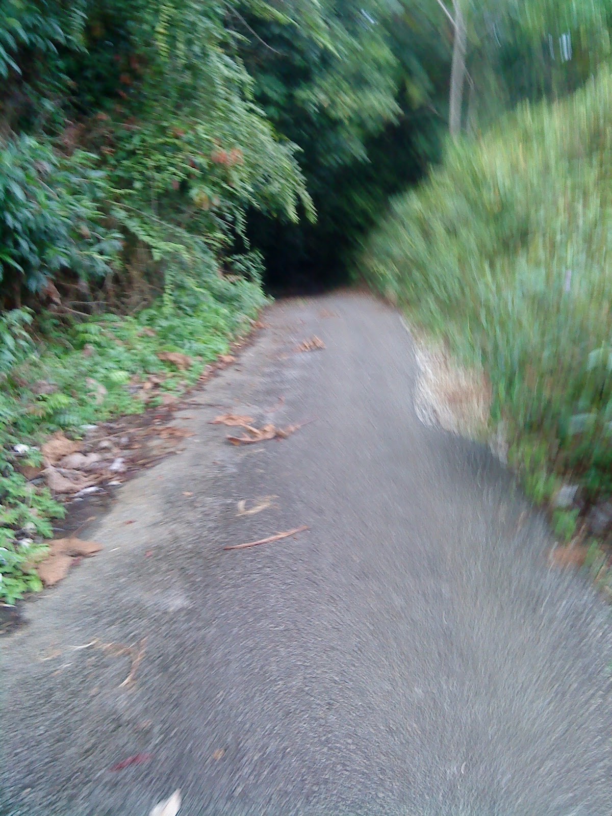 PIMCO: Kayuhan panjat Bukit Paling Tinggi dlm kebun