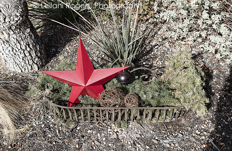 My Many Colored Days Outdoor Decor for the Holidays