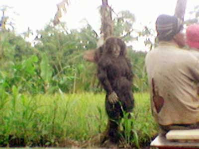 Gambar Foto Penampakan Makhluk Halus Hantu Tertangkap K