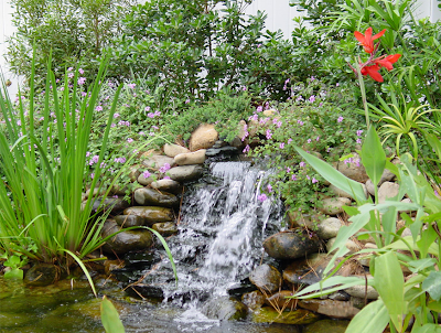 Garden Pond: Garden pond waterfall