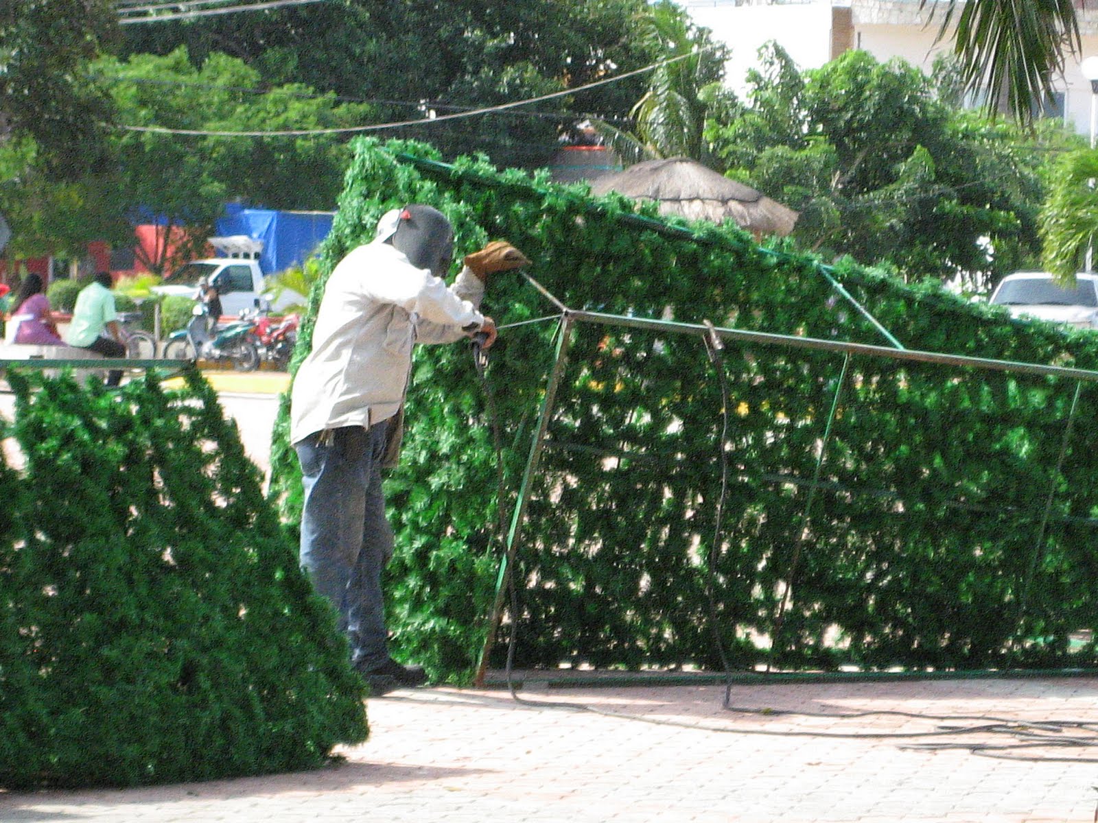 Rootless christmas tree