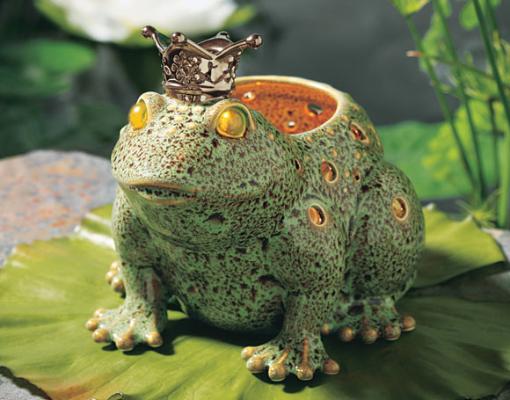 The Amazing Frog Prince!