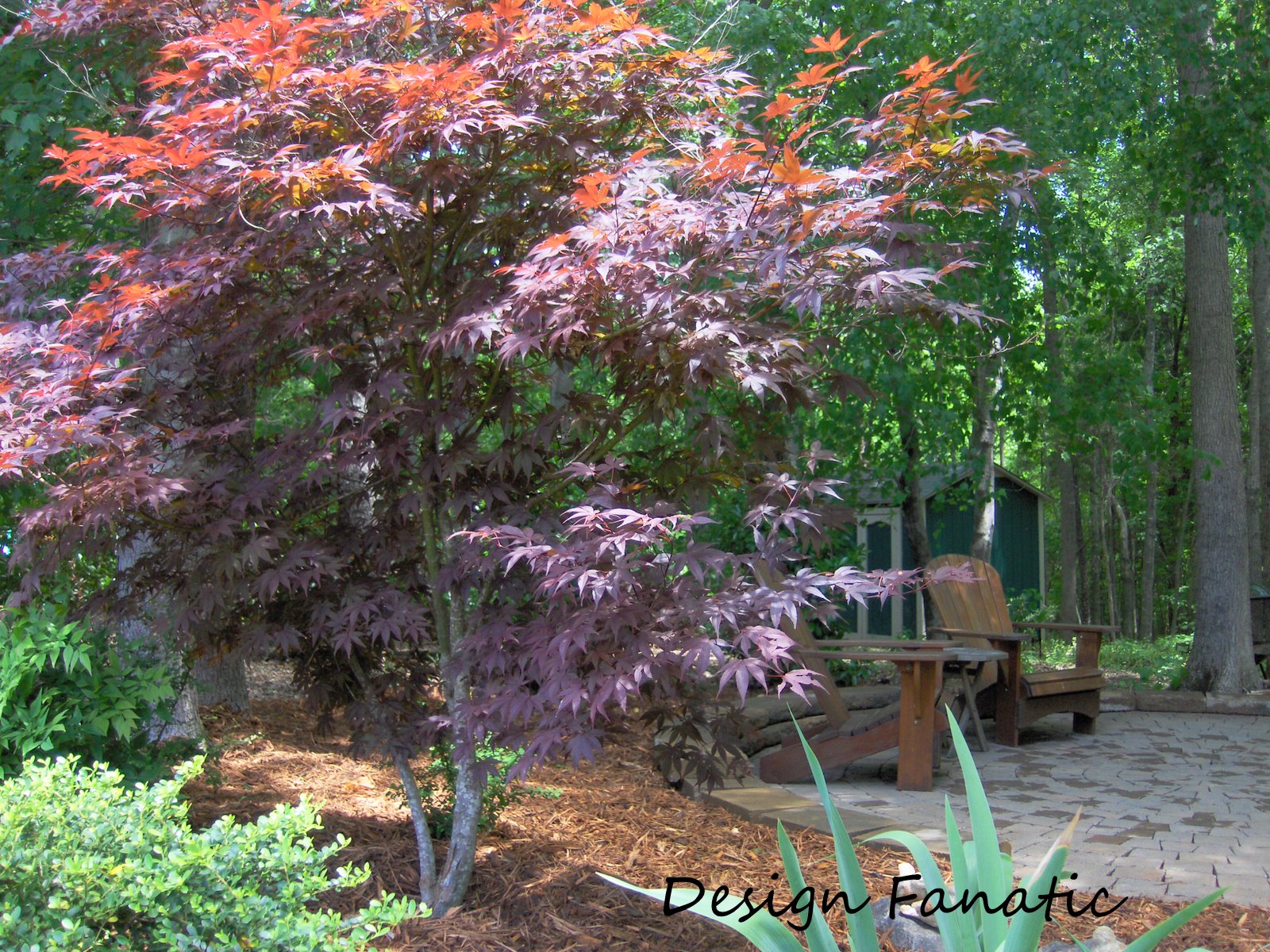 diy Design Fanatic: My Garden II