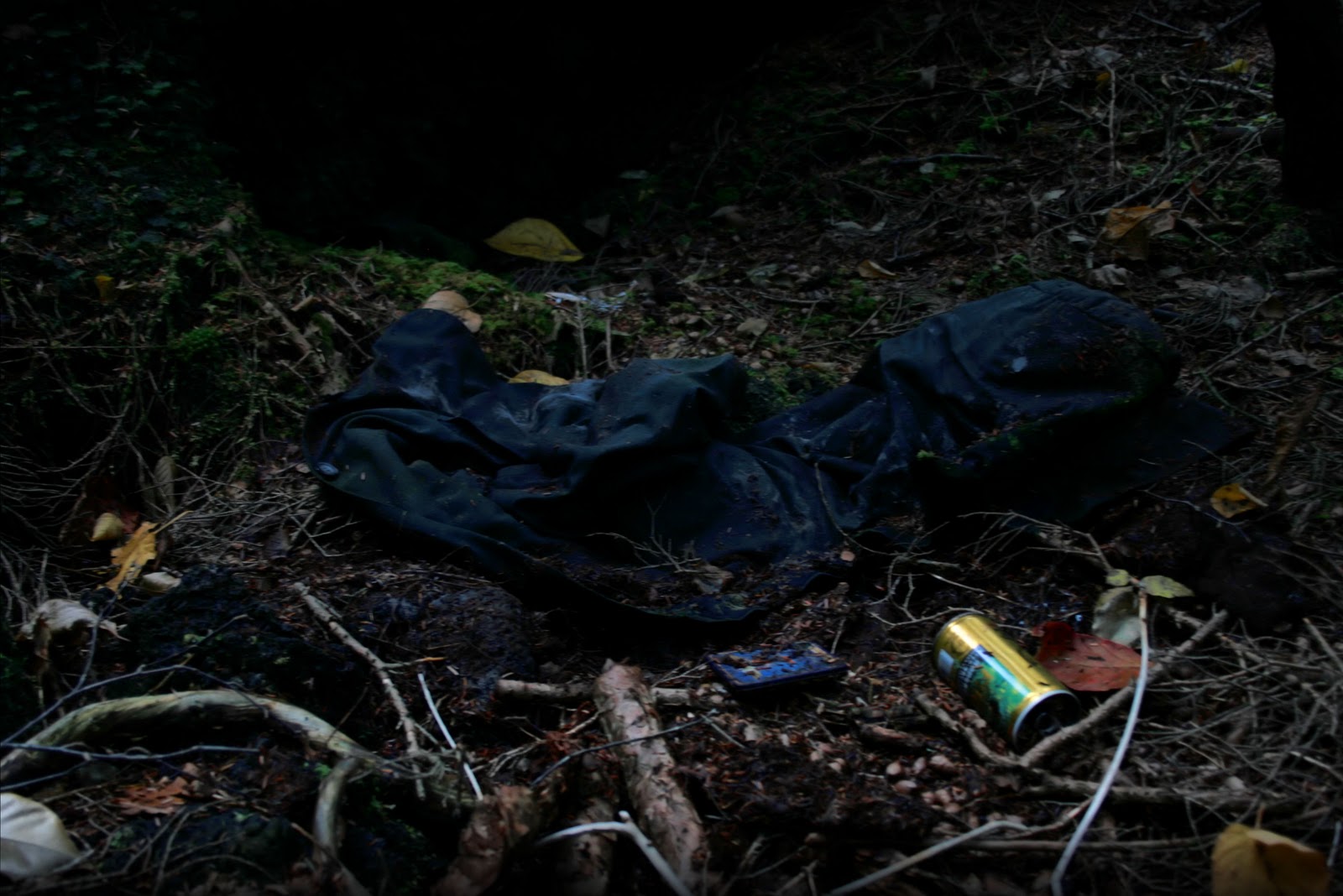 Daysleeper: Aokigahara Forest (Suicide Forest), Japan