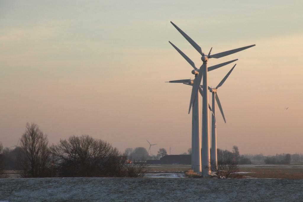 gestreift - berührt - geteilt: Der Wind