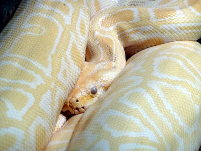 Ben's Journal: October 2010