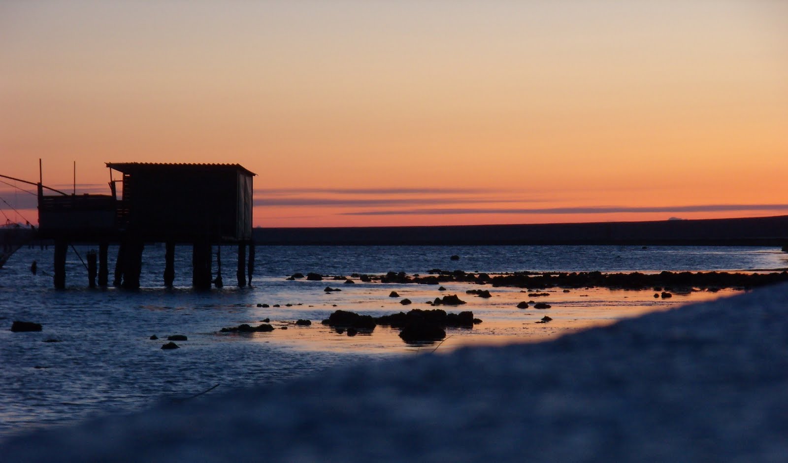 Metantacauta DOVE SI VOLA..