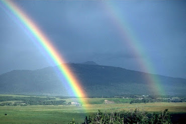 Aren't rainbows gorgeous?
