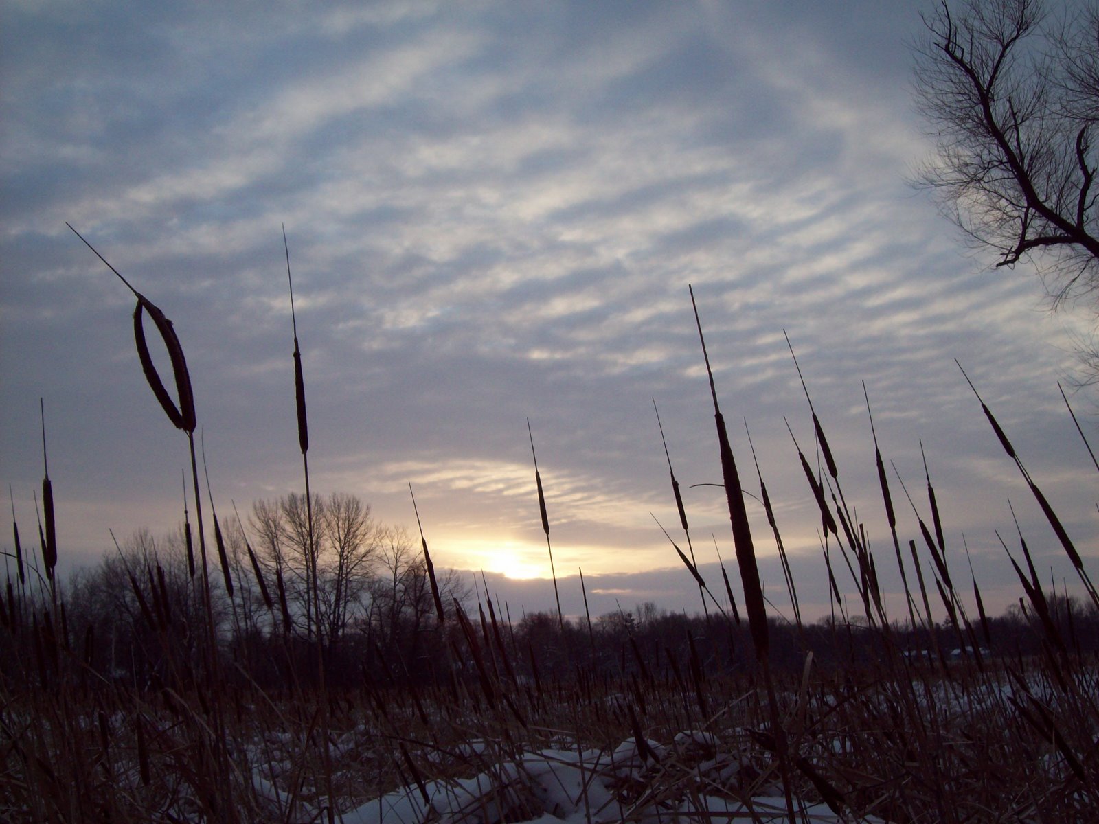 [101_0359.JPG]