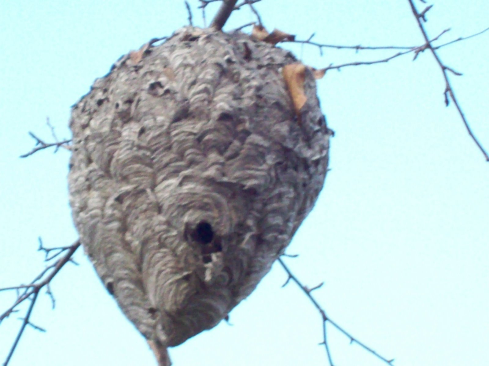 [101_0185.JPG]