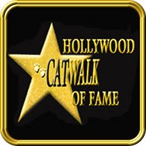 Hollywood Catwalk of Fame