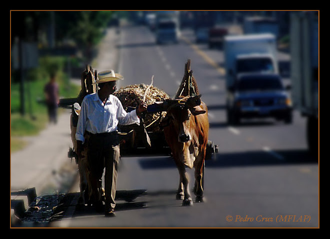 con la carreta