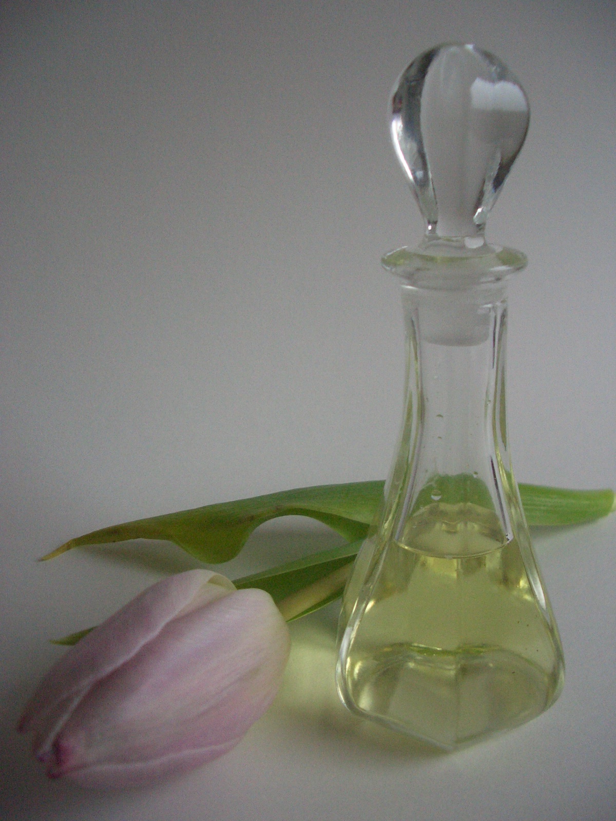 Kates Playground .zip