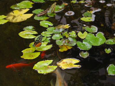 We Be Reading: December 2010