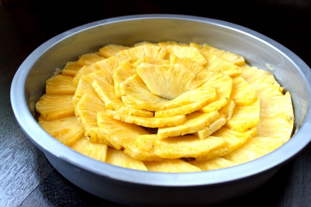 [PUC+Rosette+(2).JPG]