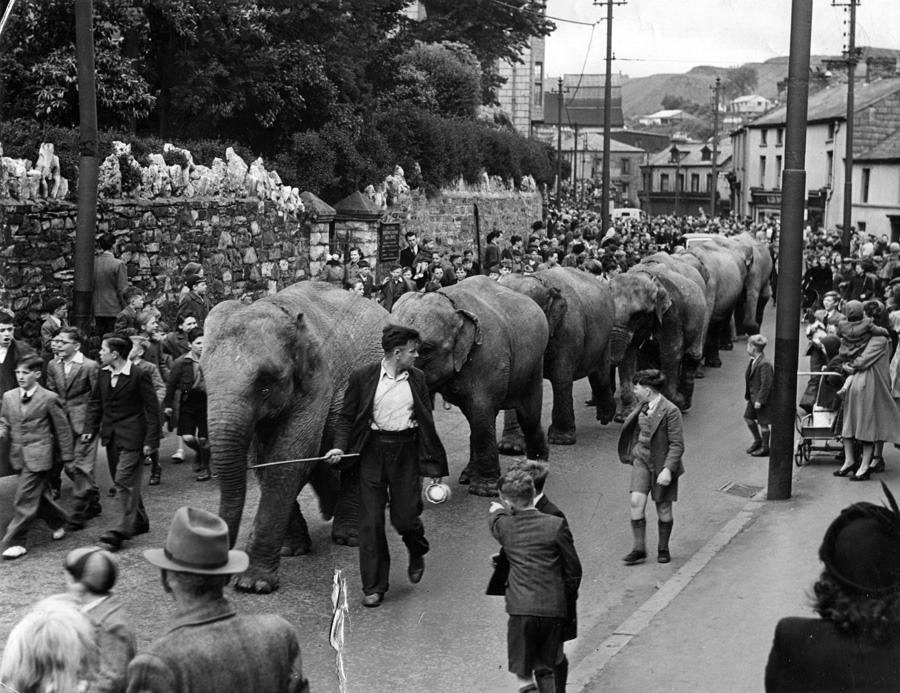 [PontmorlaisWest_CircusParade_1948-49_CliveArthur.jpg]