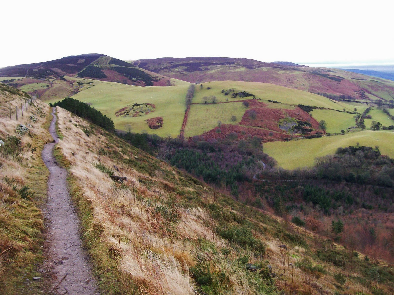 A Welsh man walking.: #5.Afonwen to Loggerheads.13-1-11.