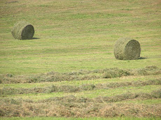 Round Bales