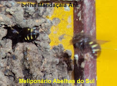 Ab. Mandaçaia