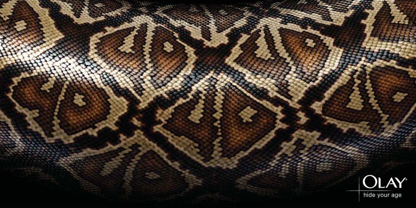 FMP Design Context Adverts using Animal Skin