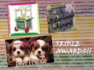 Triple Blog Award