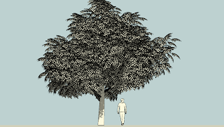 My computer generated world: Modeled another tree in sketchup