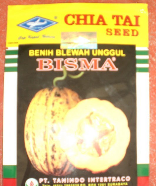 blewah unggul quot bisma quot bibit unggul blewah unggul quot bisma quot bibit unggul