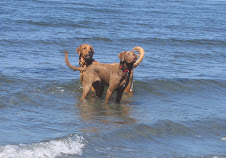 The loves of my life