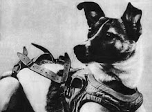 laika the cosmonaut