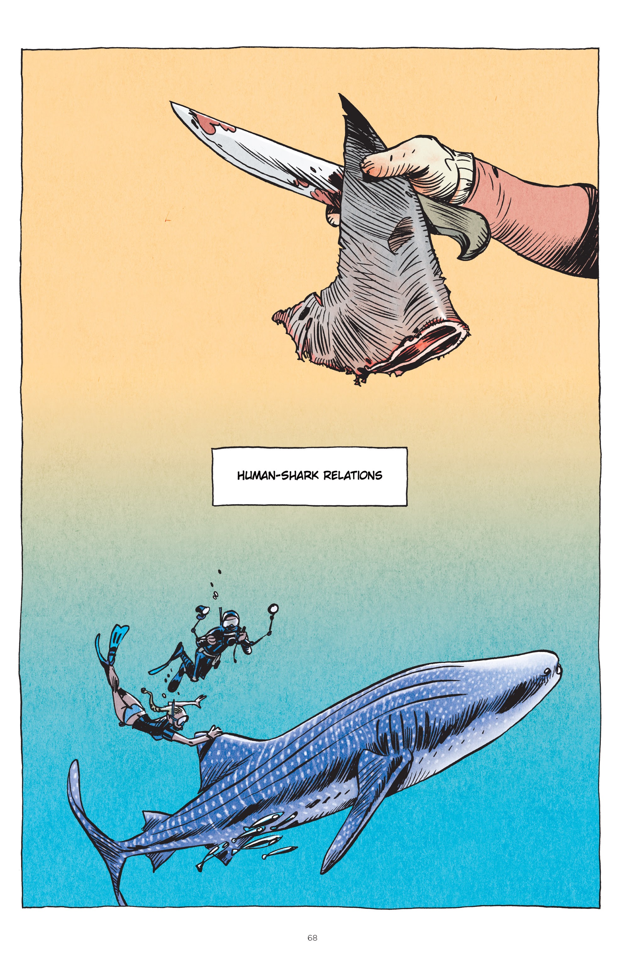 Read online Little Book of Knowledge: Sharks comic -  Issue # TPB - 68