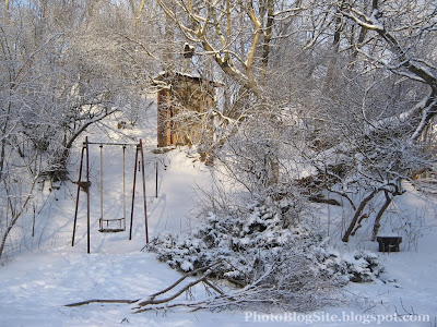 Lonely Swing in Winter