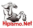 Hipismo.net