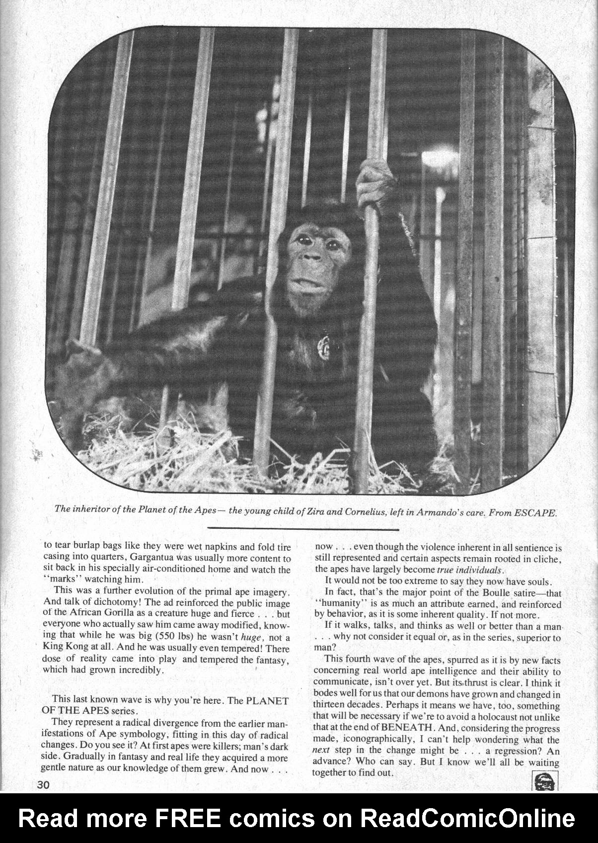 Read online Planet of the Apes comic -  Issue #22 - 31