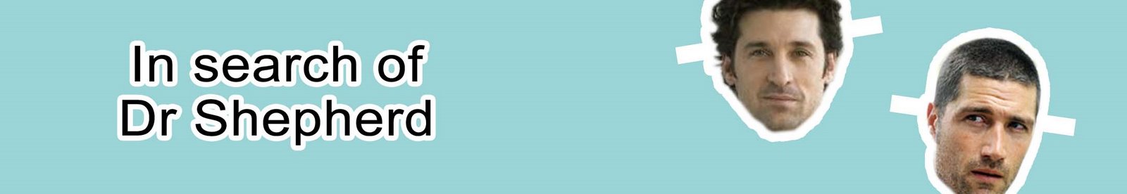 In search of Dr Shepherd