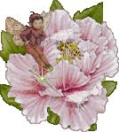 ELFINHO CHROME DESEJA A VOCÊ UMA BOA LEITURA