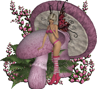 [imagebasdroite.gif]