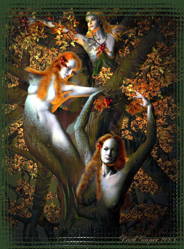 [0000000000000000000000000blog.jpg]