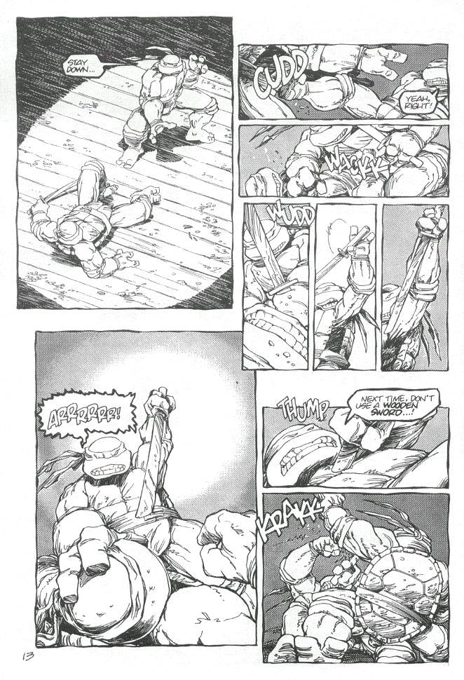 Read online Teenage Mutant Ninja Turtles (1984) comic -  Issue #19 - 14