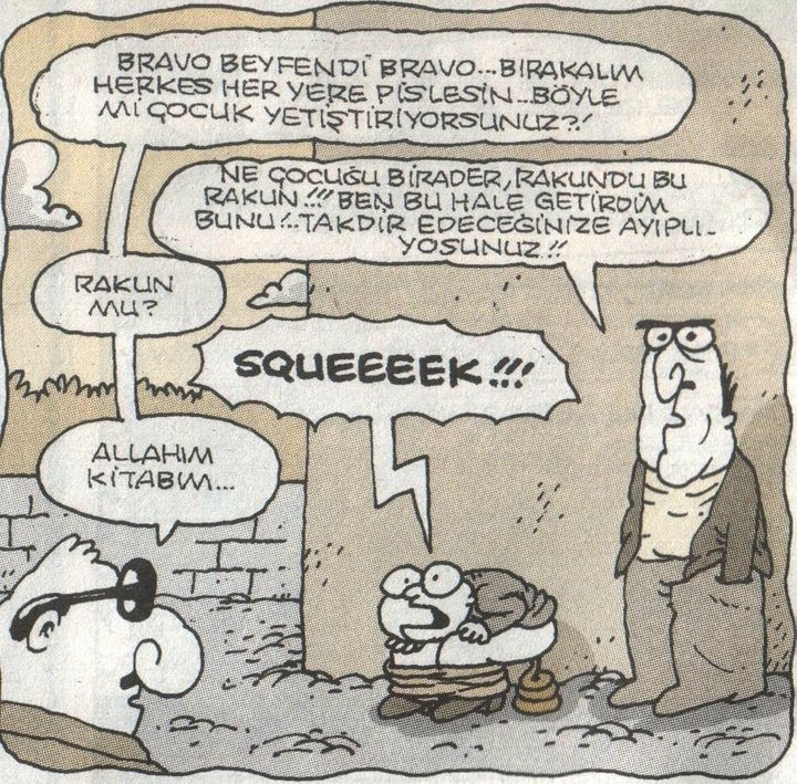 rakun.jpg