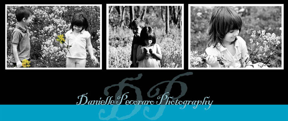 Danielle Pecoraro Photography