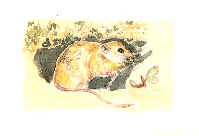 [Digitalizar0006.jpg]