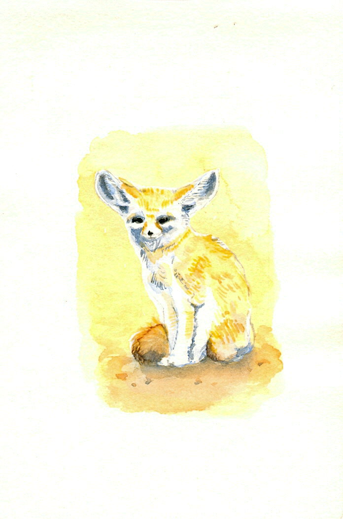 [fenec+aquarelle.jpg]