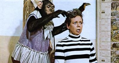 Wir Hauen Die Pauker In Die Pfanne