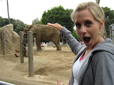 I am pettng an elephant!!