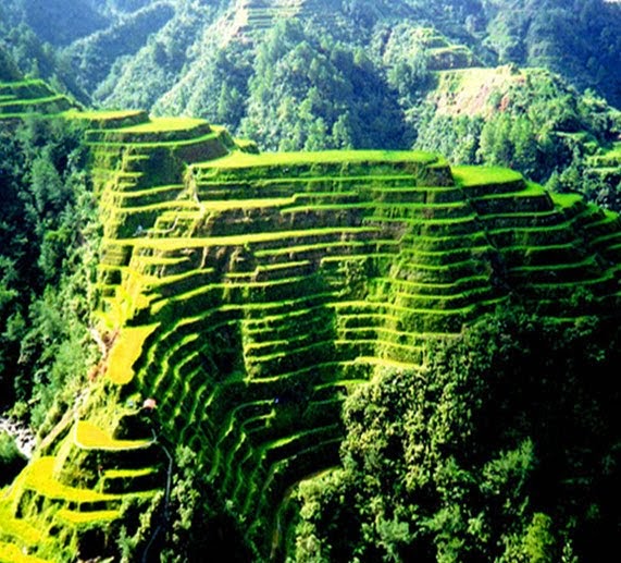 Travel Banaue Rice Terraces: Quick Facts About The Eighth Wonder Of The
