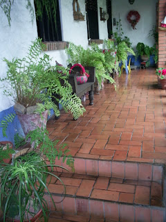 MANTENIMIENTO Y DISEÑO DE JARDINES: Jardin vernaculo
